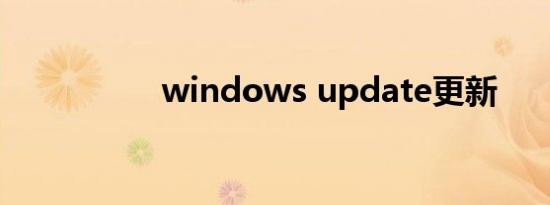 windows update更新