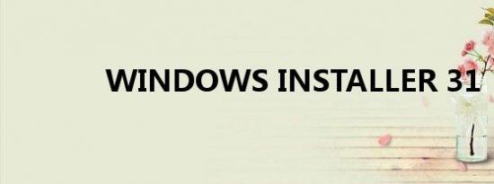 WINDOWS INSTALLER 31