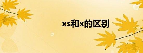 xs和x的区别