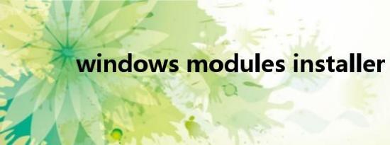 windows modules installer